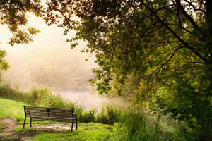 Vibrations Coaching: Bench by the river